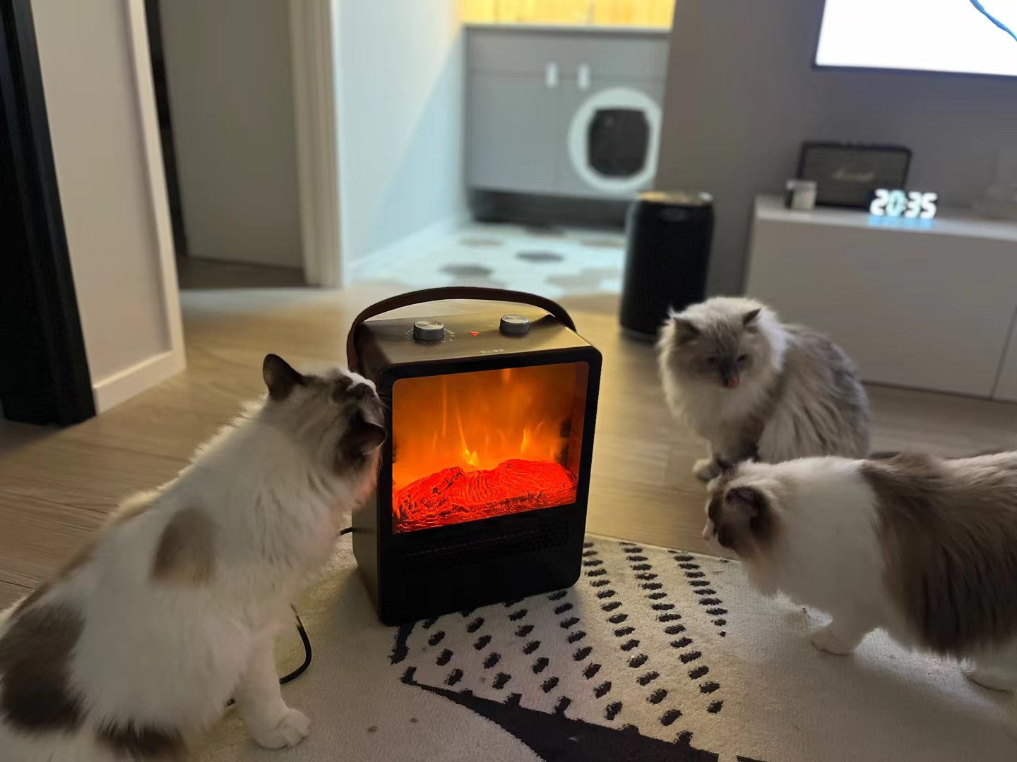 Three cats gathered around a small heater at home