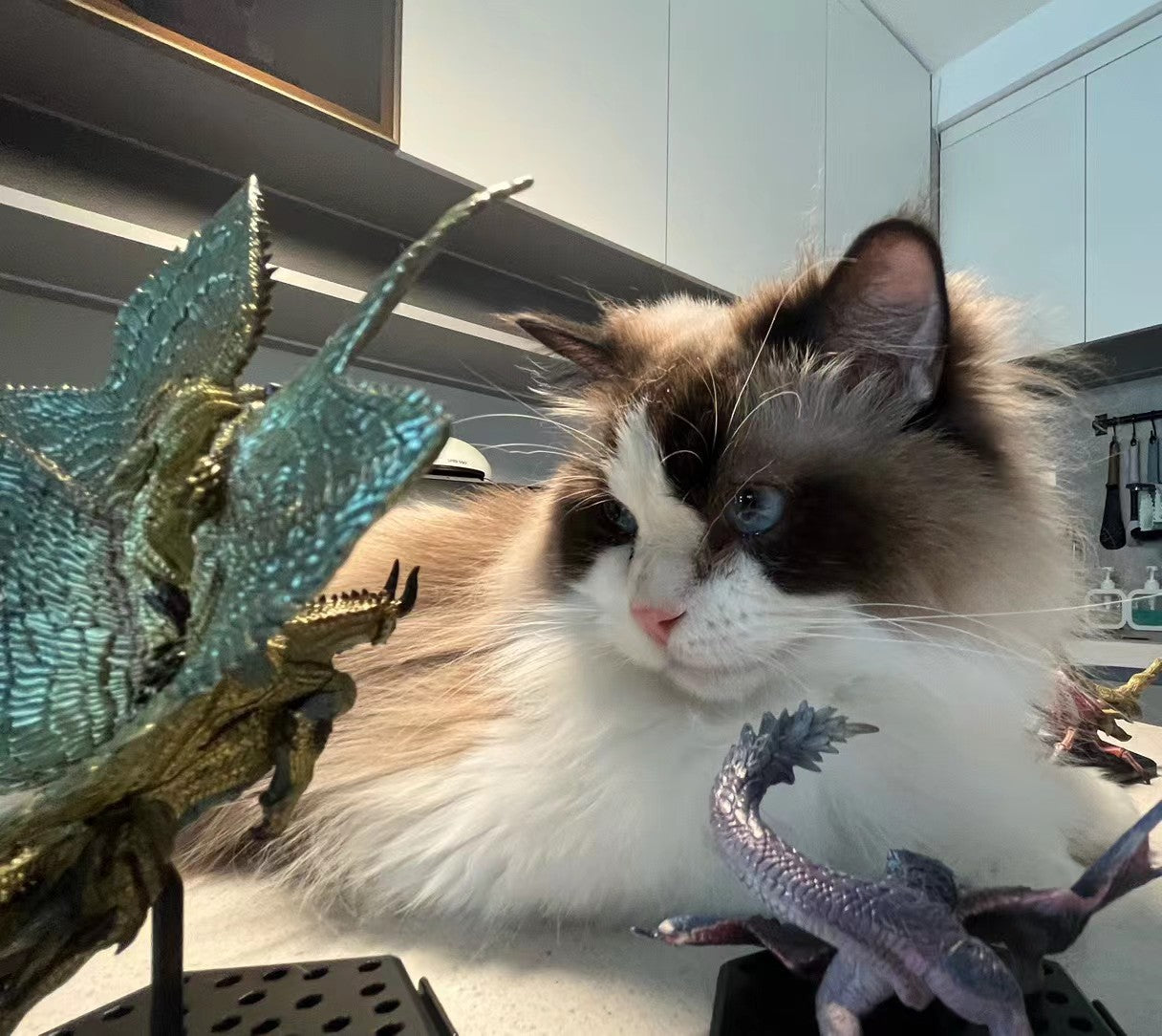A cat sitting among small dragon figures