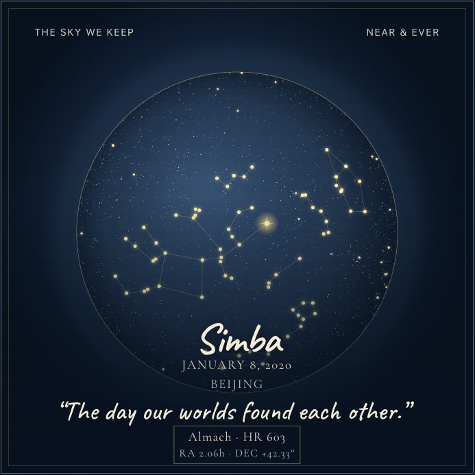 The founder's personal Star Map artwork for Simba, January 8, 2020, Beijing